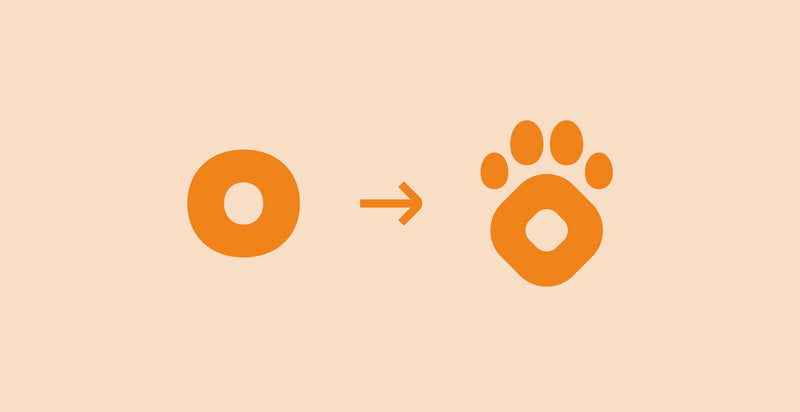Petbox — immagine 5